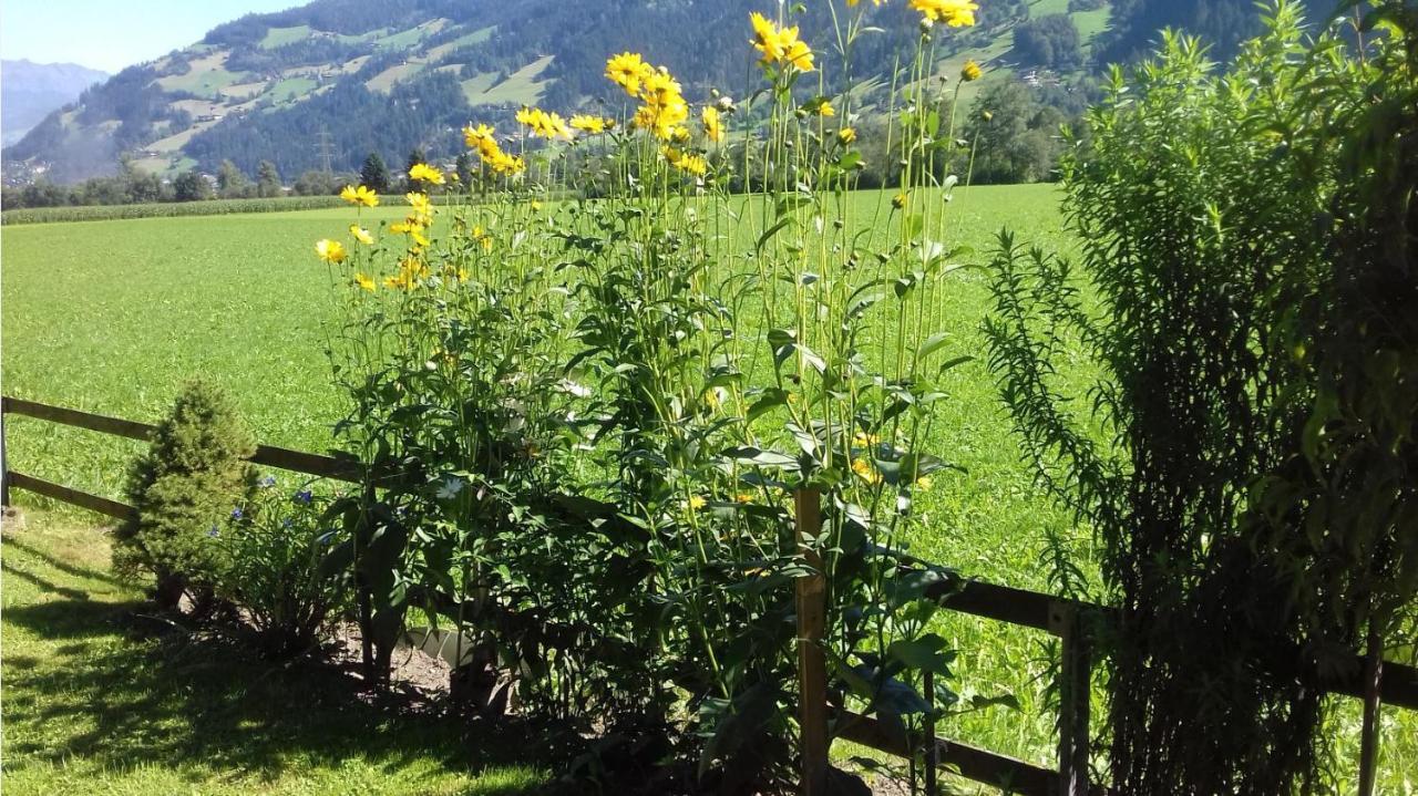 Haus Kreidl Bed and Breakfast Schwendau Εξωτερικό φωτογραφία